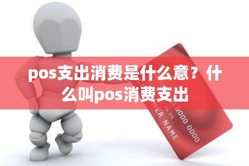 pos支出消费是什么意？什么叫pos消费支出