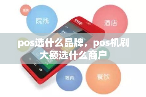 pos选什么品牌，pos机刷大额选什么商户