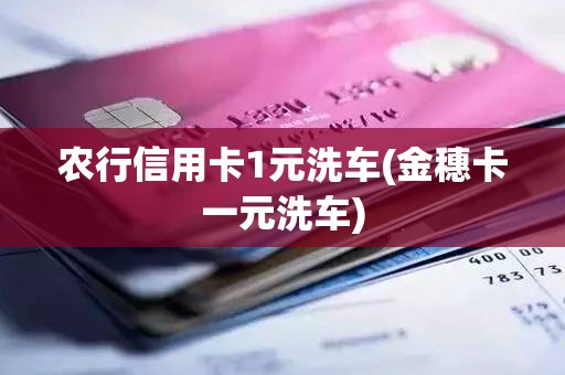 农行信用卡1元洗车(金穗卡一元洗车) 农行信用卡1元洗车(金穗卡一元洗车)