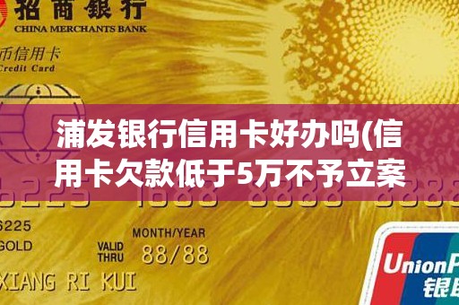 浦发银行信用卡好办吗(信用卡欠款低于5万不予立案)