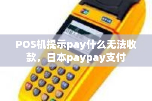 POS机提示pay什么无法收款,日本paypay支付 POS机提示pay什么无法收款,日本paypay支付