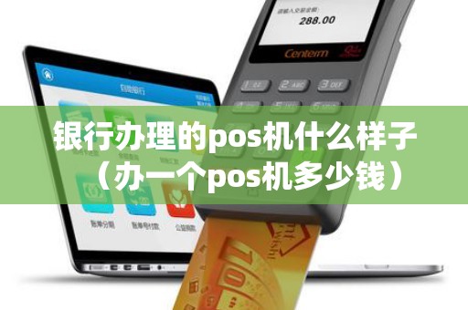银行办理的pos机什么样子（办一个pos机多少钱）