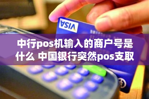 中行pos机输入的商户号是什么 中国银行突然pos支取