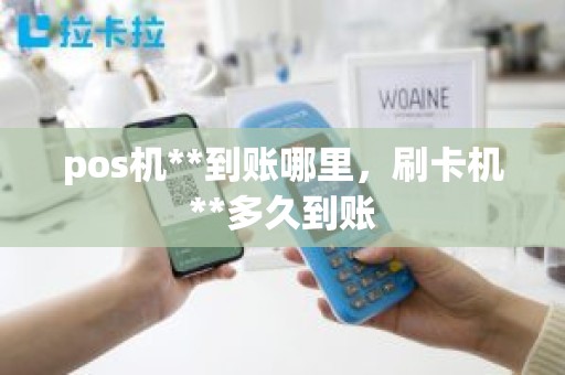 pos机**到账哪里，刷卡机**多久到账