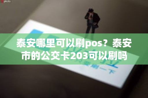 泰安哪里可以刷pos?泰安市的公交卡203可以刷吗 泰安哪里可以刷pos?泰安市的公交卡203可以刷吗