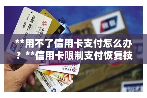 **用不了信用卡支付怎么办?**信用卡限制支付恢复技巧 **用不了信用卡支付怎么办?**信用卡限制支付恢复技巧