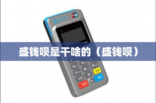 盛钱呗是干啥的（盛钱呗）