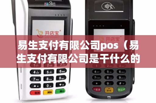 易生支付有限公司pos（易生支付有限公司是干什么的）
