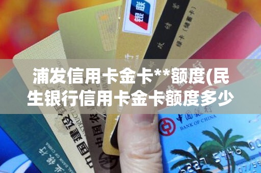 浦发信用卡金卡**额度(民生银行信用卡金卡额度多少)
