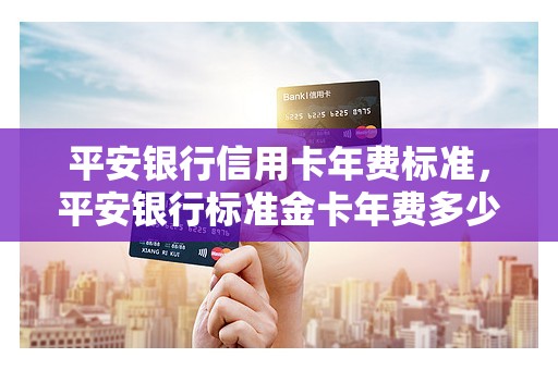平安银行信用卡年费标准，平安银行标准金卡年费多少