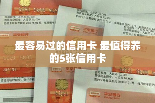 最容易过的信用卡 最值得养的5张信用卡