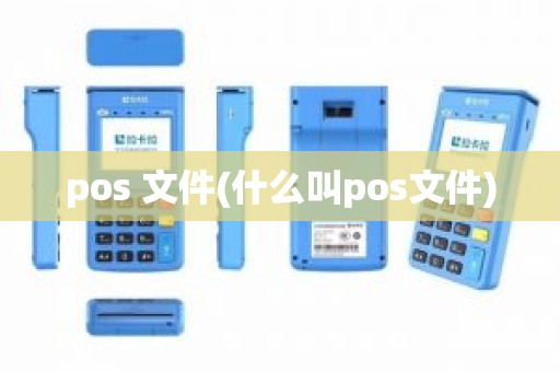 pos 文件(什么叫pos文件)