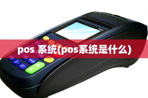 pos 系统(pos系统是什么)
