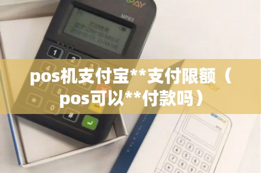 pos机支付宝**支付限额（pos可以**付款吗）