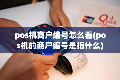 pos机商户编号怎么看(pos机的商户编号是指什么)