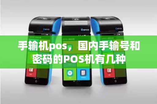 手输机pos，国内手输号和密码的POS机有几种