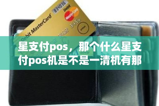 星支付pos，那个什么星支付pos机是不是一清机有那个支付牌照吗