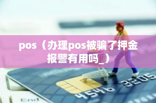 pos（办理pos被骗了押金报警有用吗_）