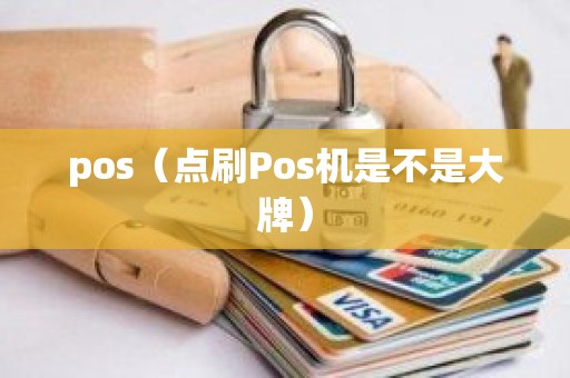 pos（点刷Pos机是不是大牌）