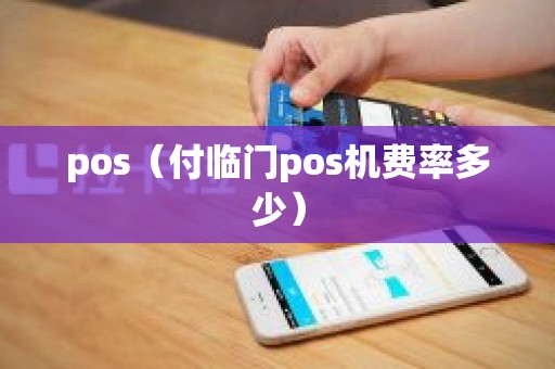 pos（付临门pos机费率多少）