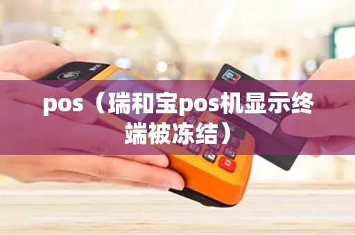 pos（瑞和宝pos机显示终端被冻结）