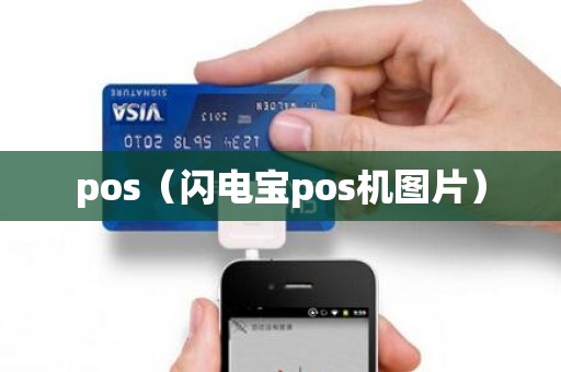 pos（闪电宝pos机图片）