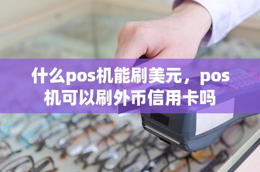 什么pos机能刷美元，pos机可以刷外币信用卡吗