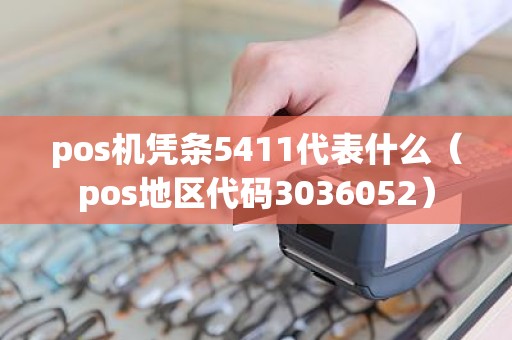 pos机凭条5411代表什么（pos地区代码3036052）