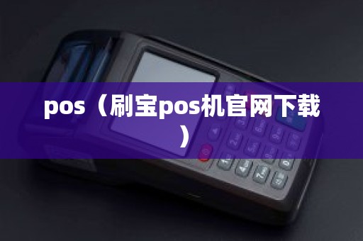 pos（刷宝pos机官网下载）