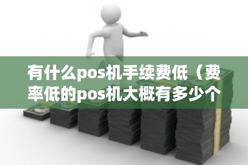 有什么pos机手续费低（费率低的pos机大概有多少个点啊）