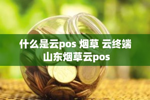 什么是云pos 烟草 云终端 山东烟草云pos 什么是云pos 烟草 云终端 山东烟草云pos
