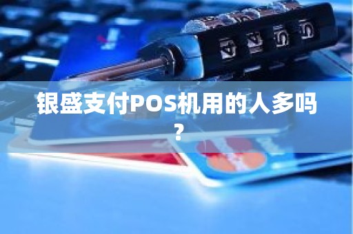 银盛支付POS机用的人多吗？