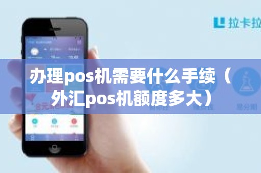 办理pos机需要什么手续（外汇pos机额度多大）