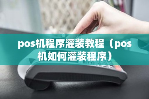 pos机程序灌装教程（pos机如何灌装程序）