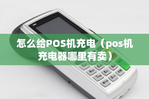 怎么给POS机充电（pos机充电器哪里有卖）