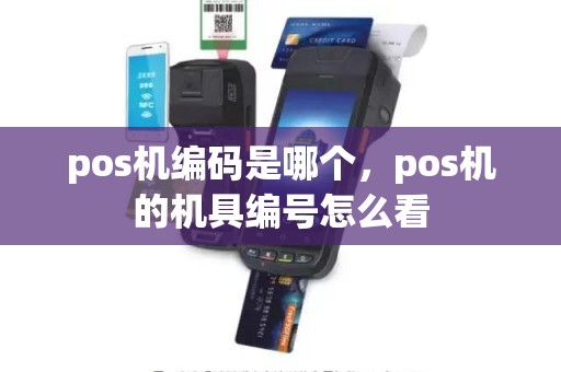 pos机编码是哪个，pos机的机具编号怎么看