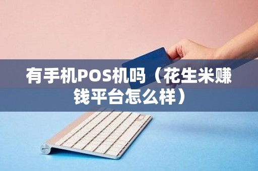 有手机POS机吗（花生米赚钱平台怎么样）