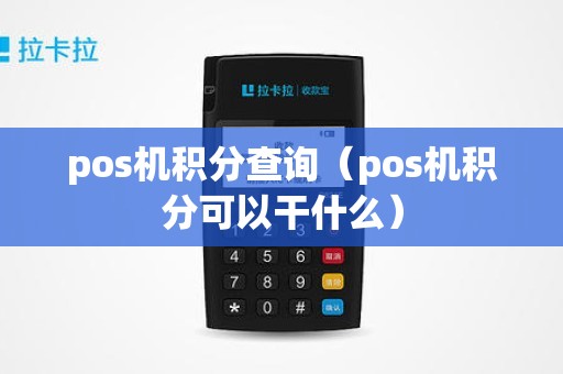 pos机积分查询（pos机积分可以干什么）