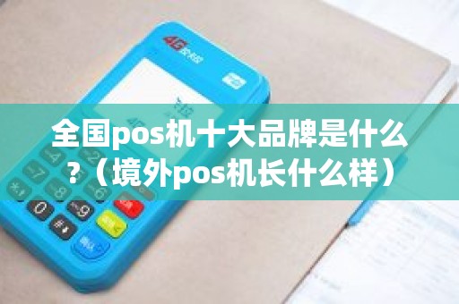 全国pos机十大品牌是什么?（境外pos机长什么样）