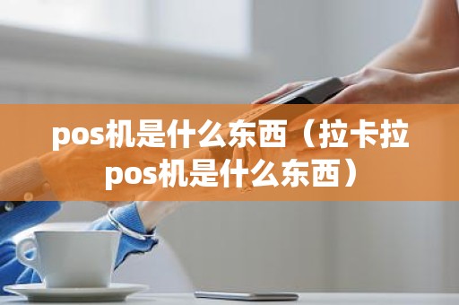 pos机是什么东西（拉卡拉pos机是什么东西）