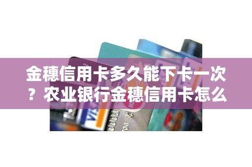 金穗信用卡多久能下卡一次？农业银行金穗信用卡怎么使用