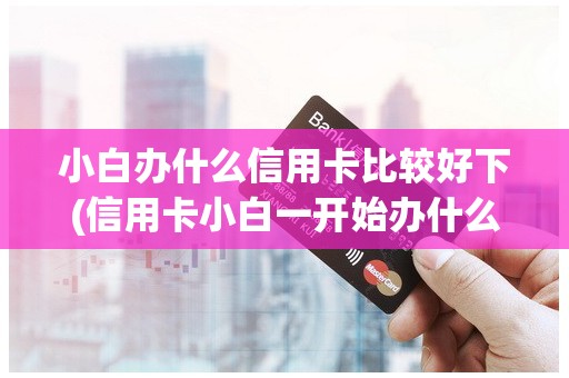 小白办什么信用卡比较好下(信用卡小白一开始办什么信用卡好)