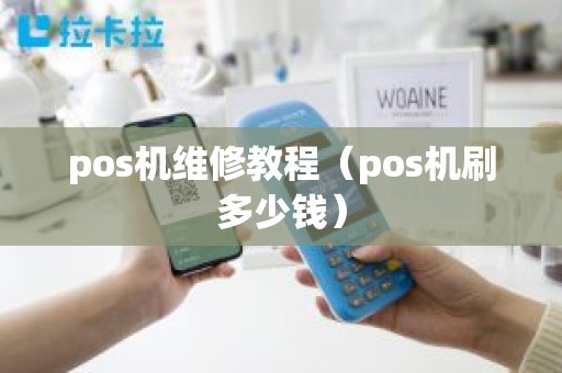pos机维修教程（pos机刷多少钱）