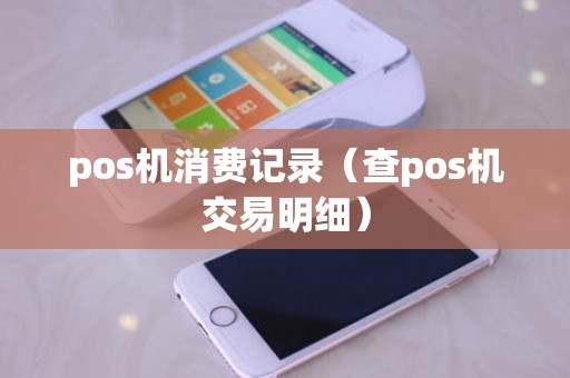 pos机消费记录（查pos机交易明细）