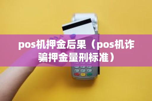 pos机押金后果（pos机诈骗押金量刑标准）