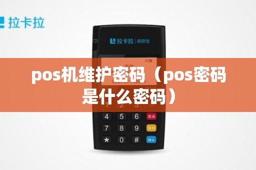 pos机维护密码（pos密码是什么密码）