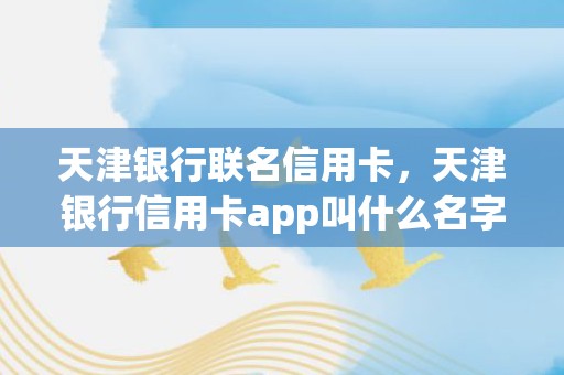 天津银行联名信用卡，天津银行信用卡app叫什么名字