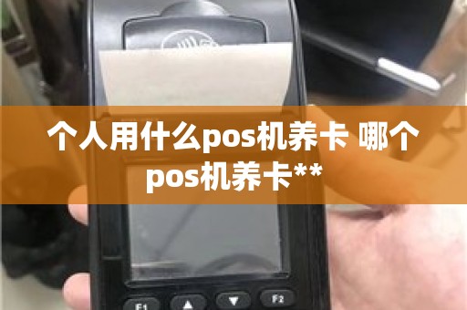 个人用什么pos机养卡 哪个pos机养卡**