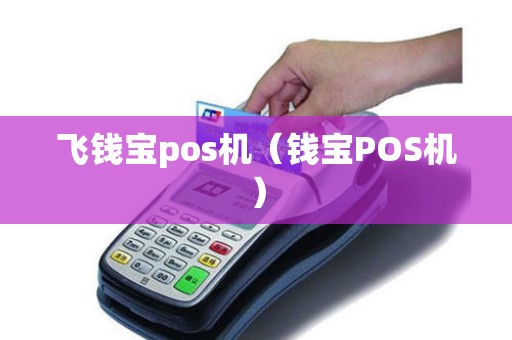飞钱宝pos机（钱宝POS机）