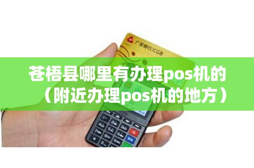 苍梧县哪里有办理pos机的（附近办理pos机的地方）